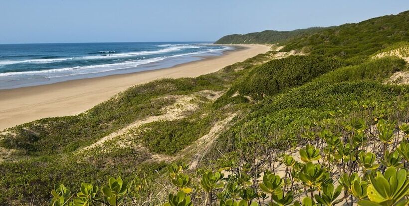 פנסיון Thonga Beach Lodge