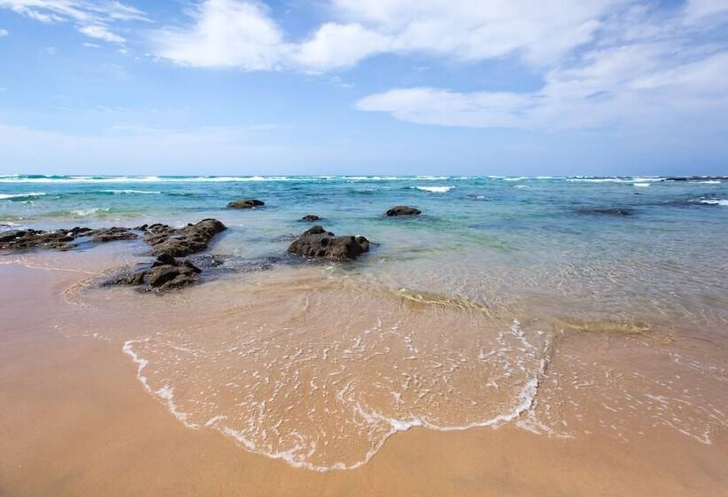 פנסיון Thonga Beach Lodge