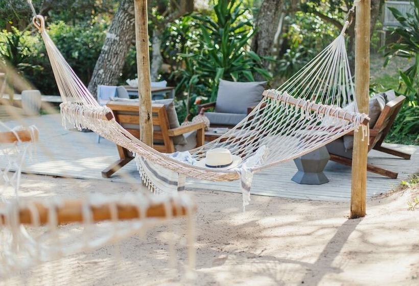 פנסיון Thonga Beach Lodge