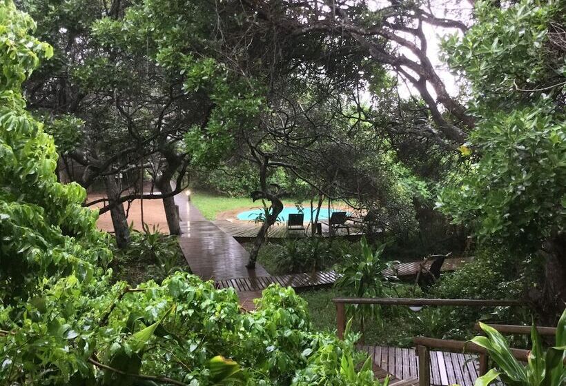 פנסיון Thonga Beach Lodge