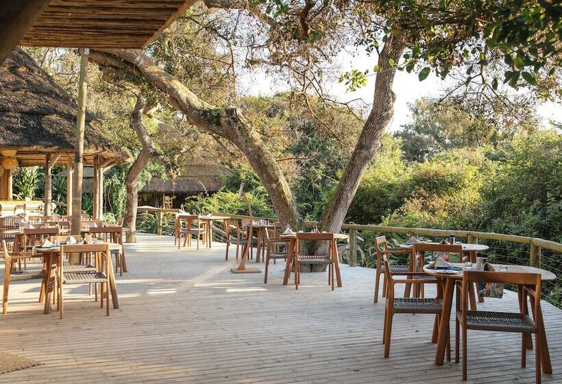 פנסיון Thonga Beach Lodge