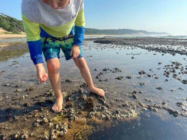 פנסיון Thonga Beach Lodge