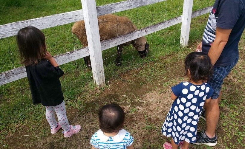 הוסטל Guesthouse Nishiki