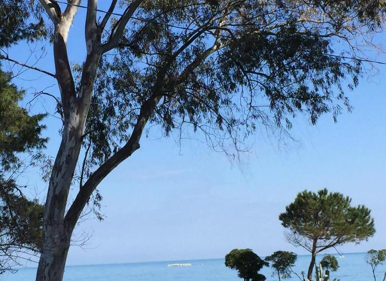 ベッドアンドブレックファースト Casa Solares