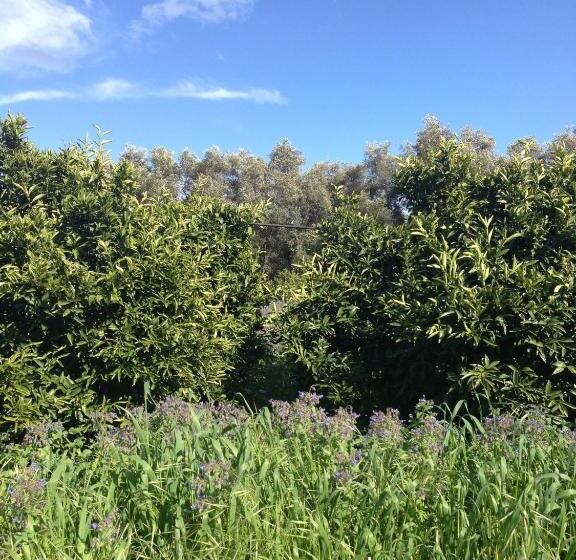 ベッドアンドブレックファースト Casa Solares