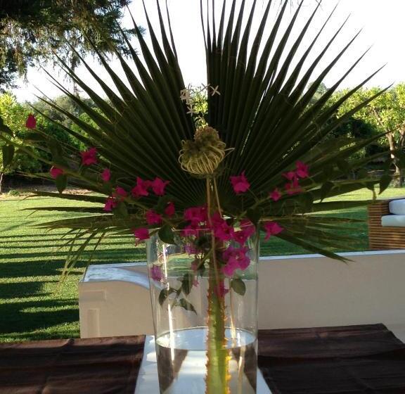 ベッドアンドブレックファースト Casa Solares