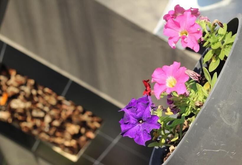 민박 Convent Hill Lodge