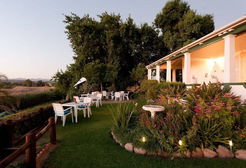 Bed and Breakfast De Oude Yotclub