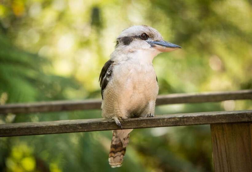 צימר Myers Creek Cascades Luxury Cottages