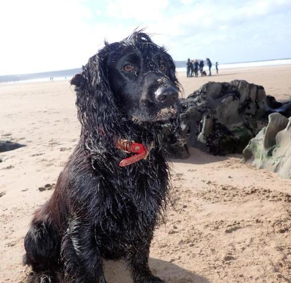 민박 Newberry Beach Lodge