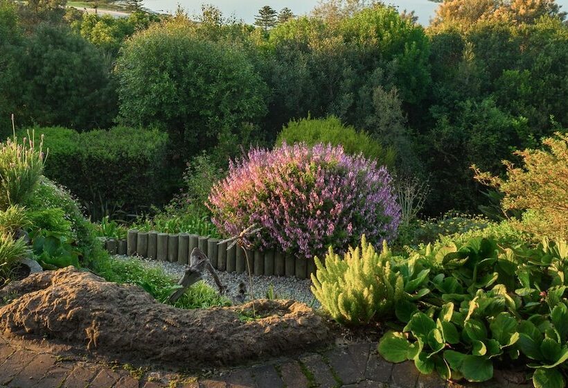 ベッドアンドブレックファースト Paradise Found