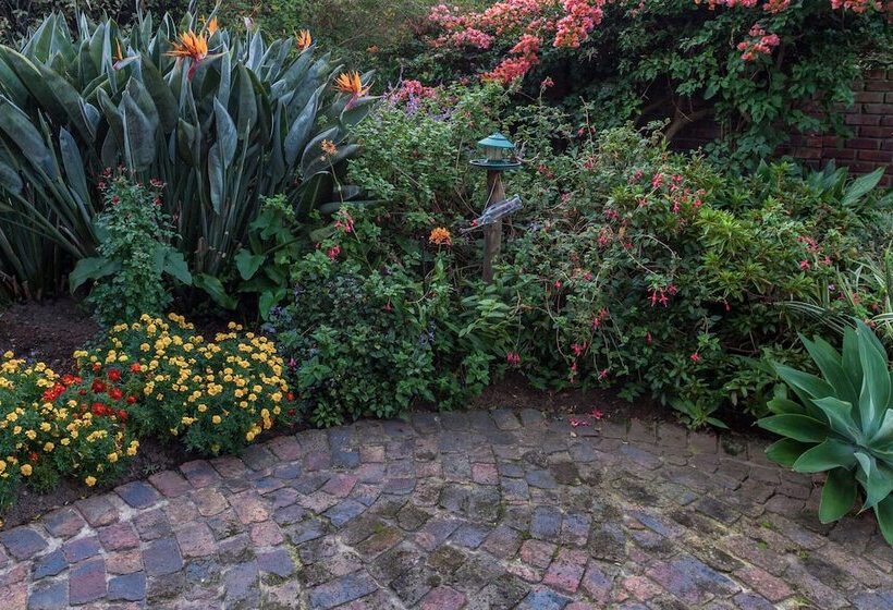 Bed and Breakfast Paradise Found