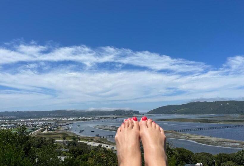 ベッドアンドブレックファースト Paradise Found