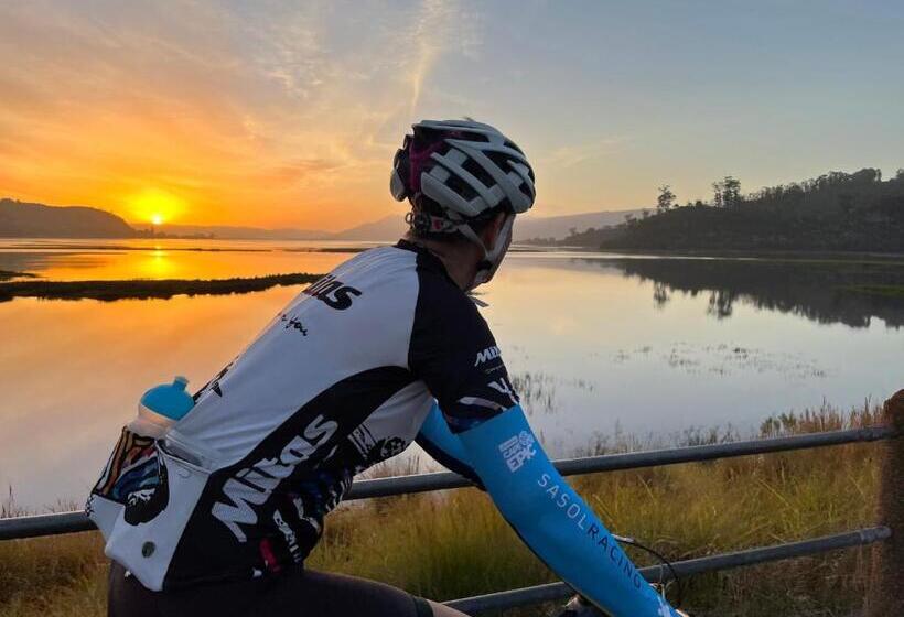 ベッドアンドブレックファースト Paradise Found