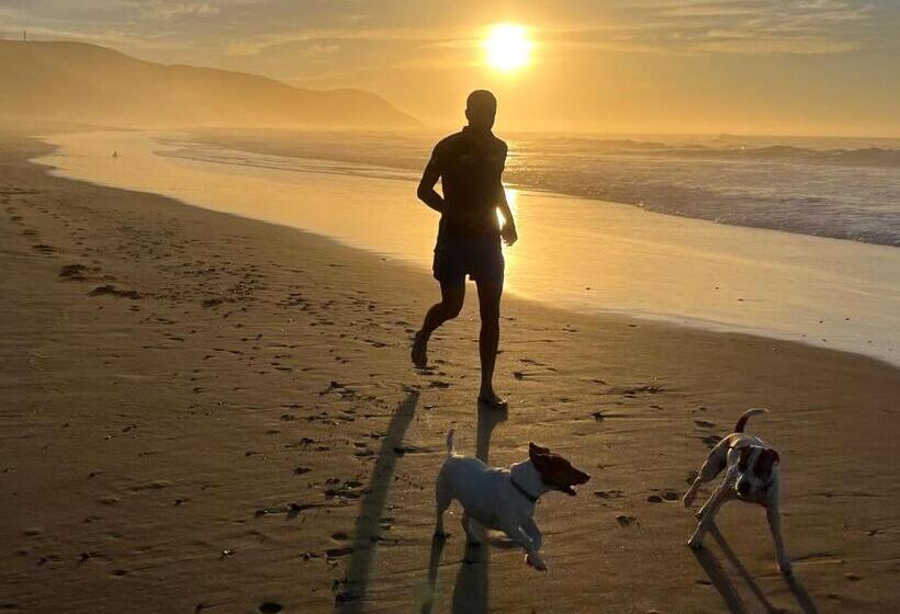 ベッドアンドブレックファースト Paradise Found