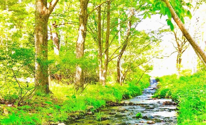 צימר Appi Life Is Beautiful