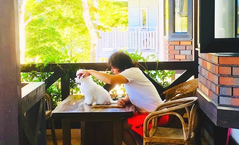 צימר Appi Life Is Beautiful