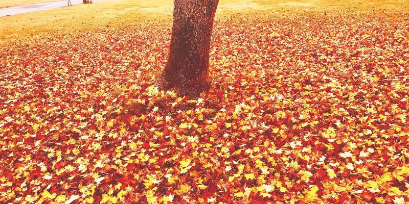 צימר Appi Life Is Beautiful