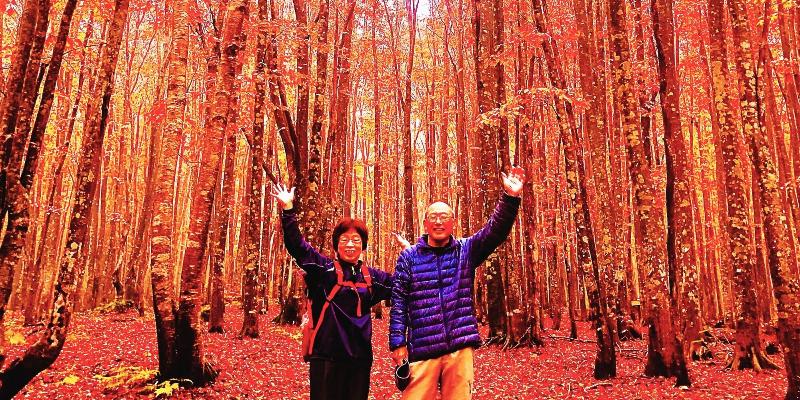 צימר Appi Life Is Beautiful