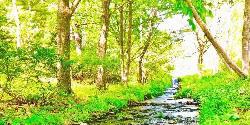 צימר Appi Life Is Beautiful