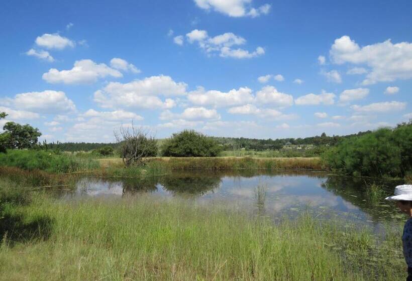 住宿加早餐  Random Harvest Country Cottages