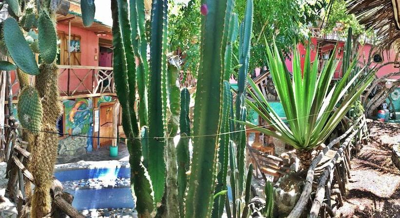 Хостел Lonesome George Ecolodge