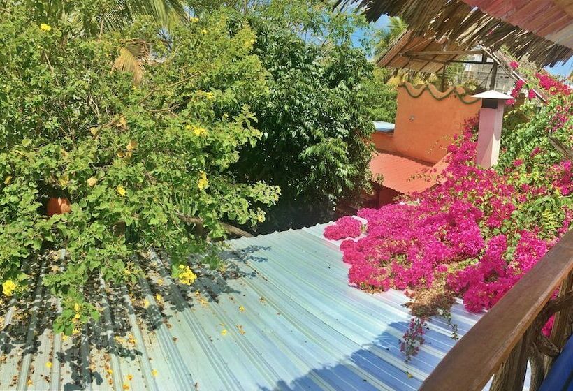 Хостел Lonesome George Ecolodge