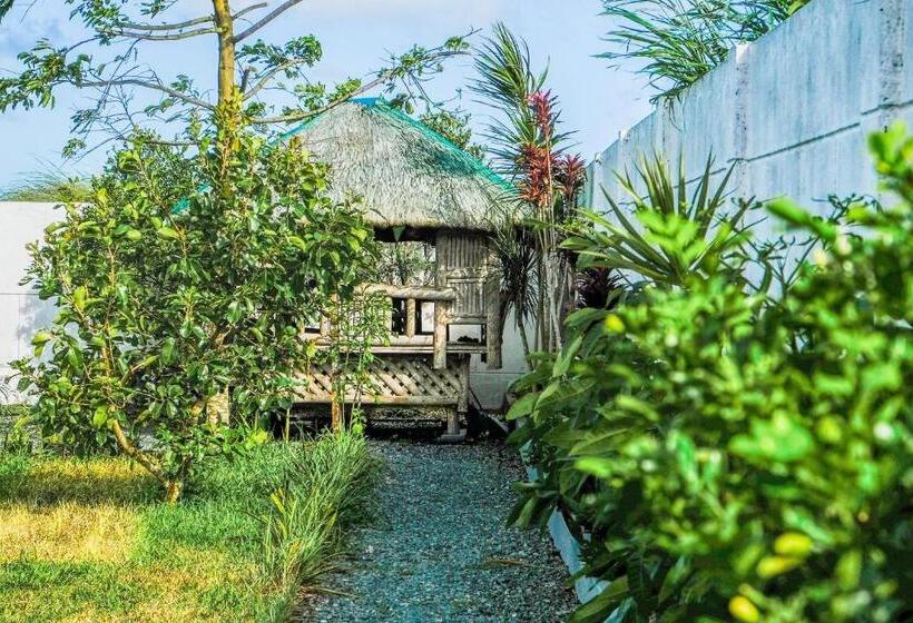 בית מלון כפרי Aroha