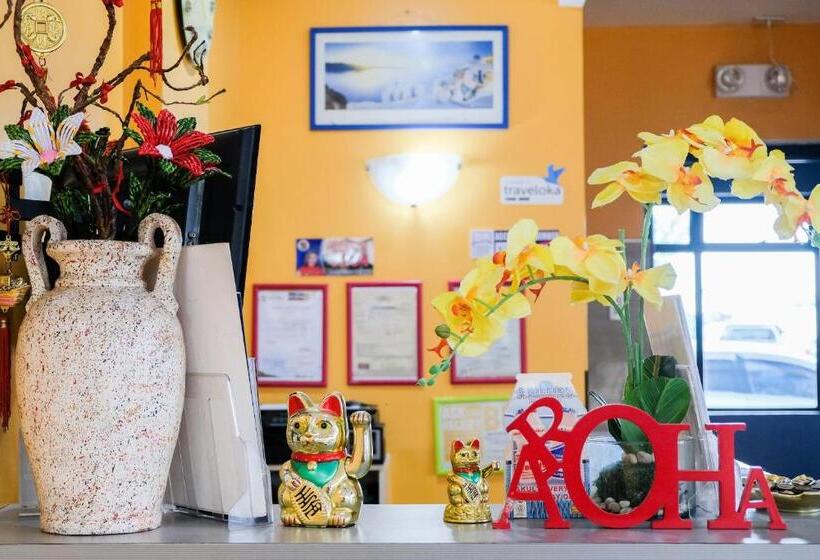 בית מלון כפרי Aroha