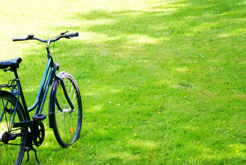 酒店 Bad Stebener Hof