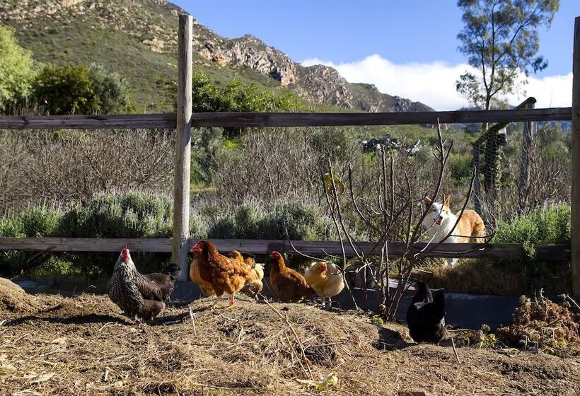 فندق Kogman & Keisie Guest Farm