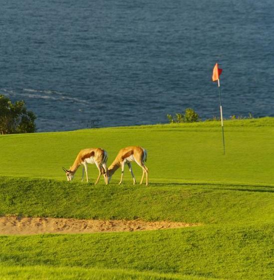 בית מלון כפרי Escape To Beautiful Mossel Bay