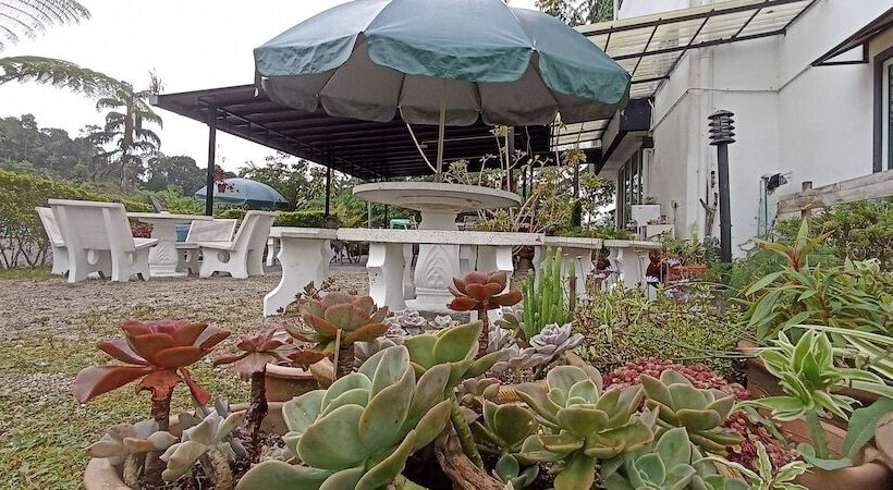 בית מלון כפרי Rovers Inn Guesthouse   Age 11 And Above Only