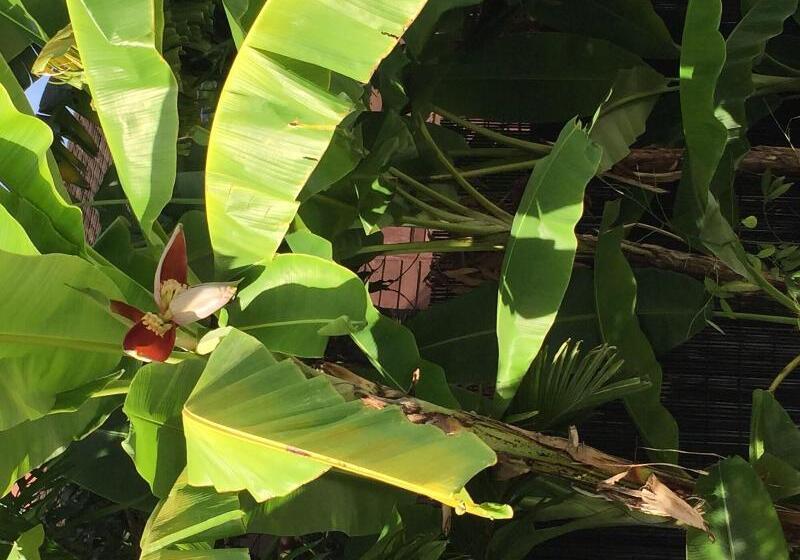 فندق Sam So Boutique Villa