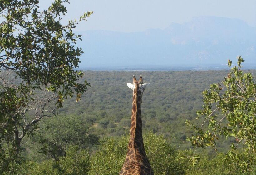 ホテル Sausage Tree Safari Camp
