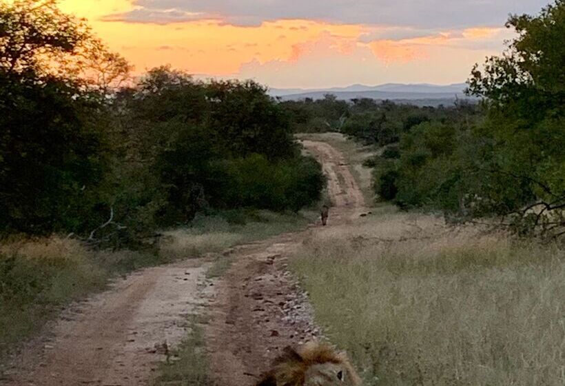 ホテル Sausage Tree Safari Camp