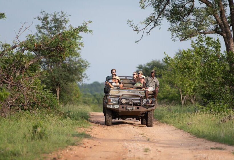 ホテル Sausage Tree Safari Camp