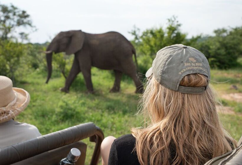 ホテル Sausage Tree Safari Camp