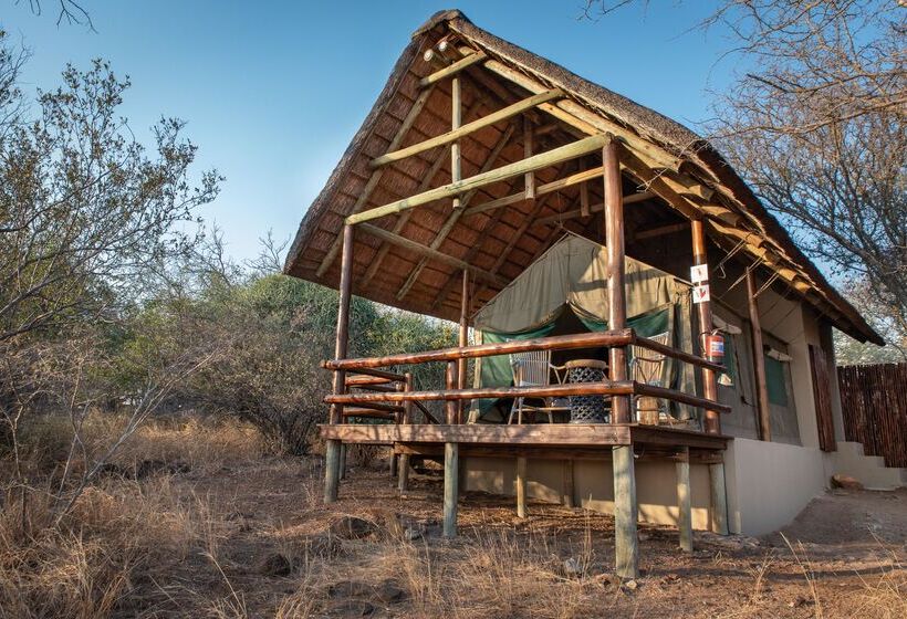 ホテル Sausage Tree Safari Camp