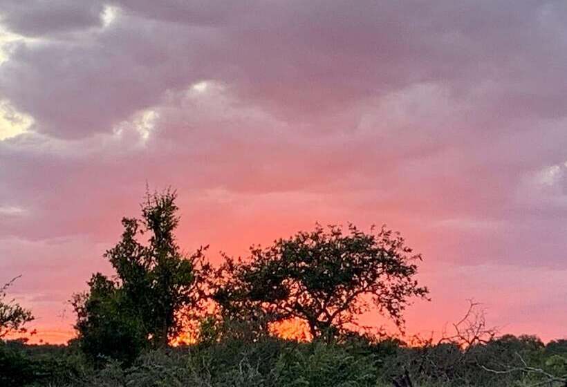 ホテル Sausage Tree Safari Camp