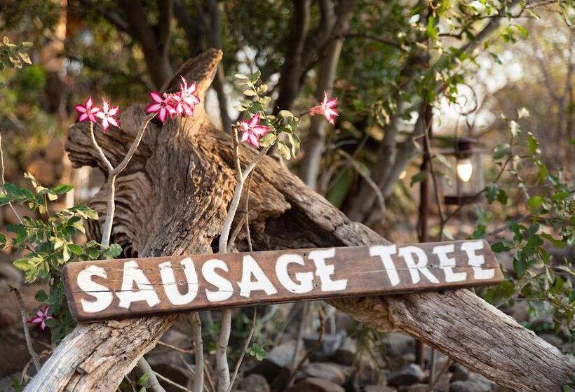 ホテル Sausage Tree Safari Camp