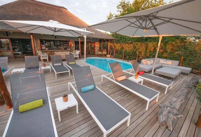 ホテル Sausage Tree Safari Camp