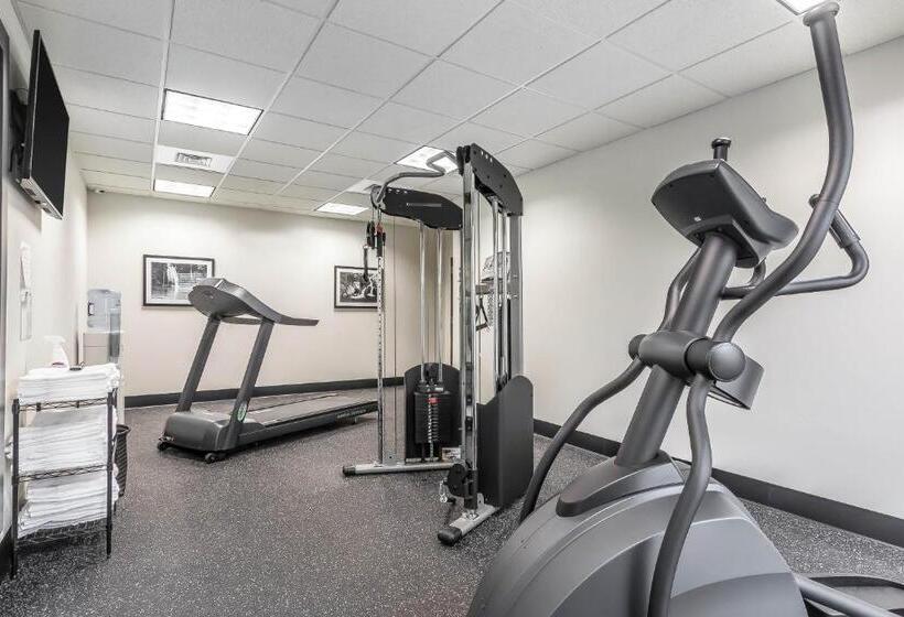酒店 Sleep Inn & Suites O Fallon Mo   Technology Drive