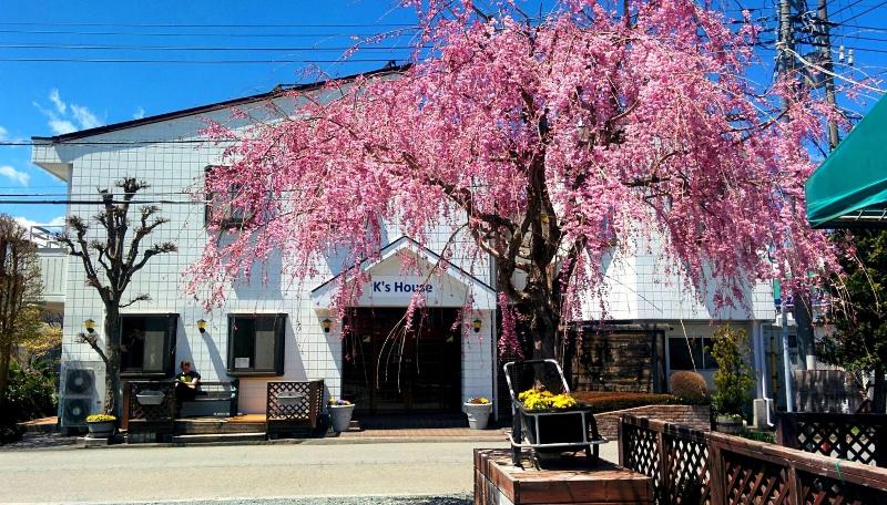 K S House Fuji View Travelers Hostel