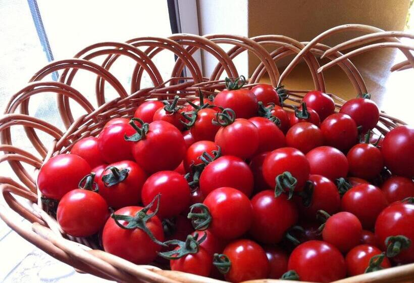 Obihiro Yachiyo Youth Hostel