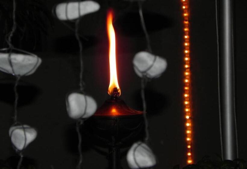 פנסיון 44 On Ennis Guest Lodge And Restaurant   No Load Sheddding