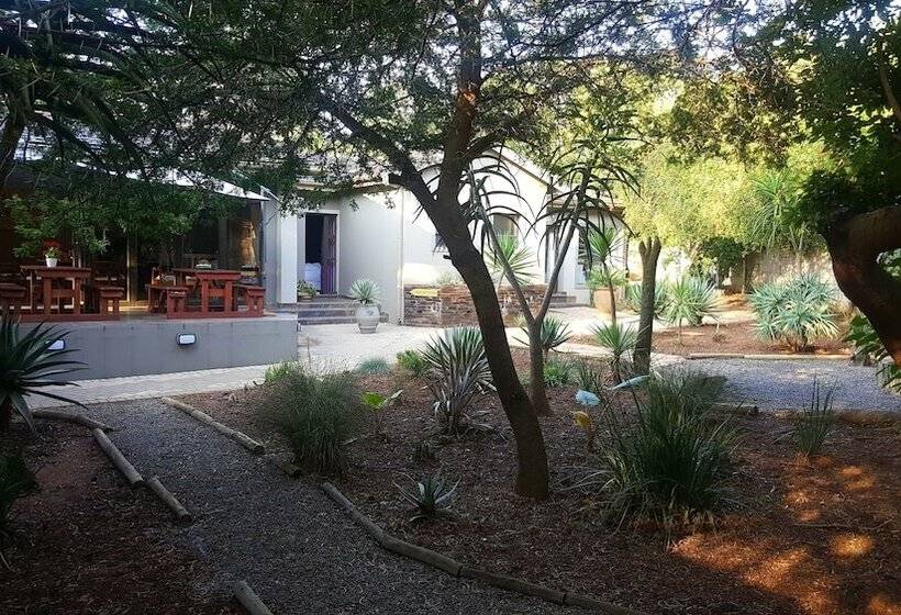 بنسيون Aerotropolis Guest Lodge