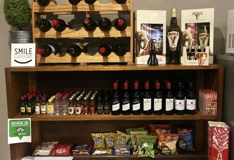 بنسيون Aerotropolis Guest Lodge