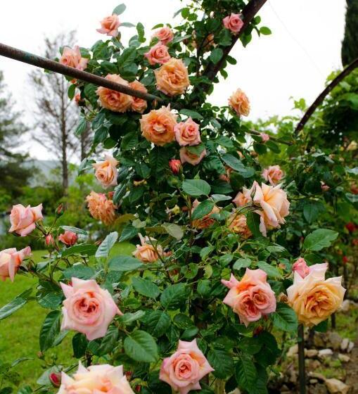 بنسيون Casa Cerqua Landi