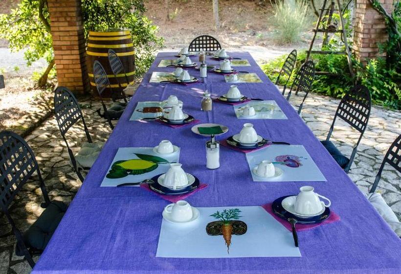 بنسيون Casa Cerqua Landi